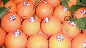 Bollini arancia